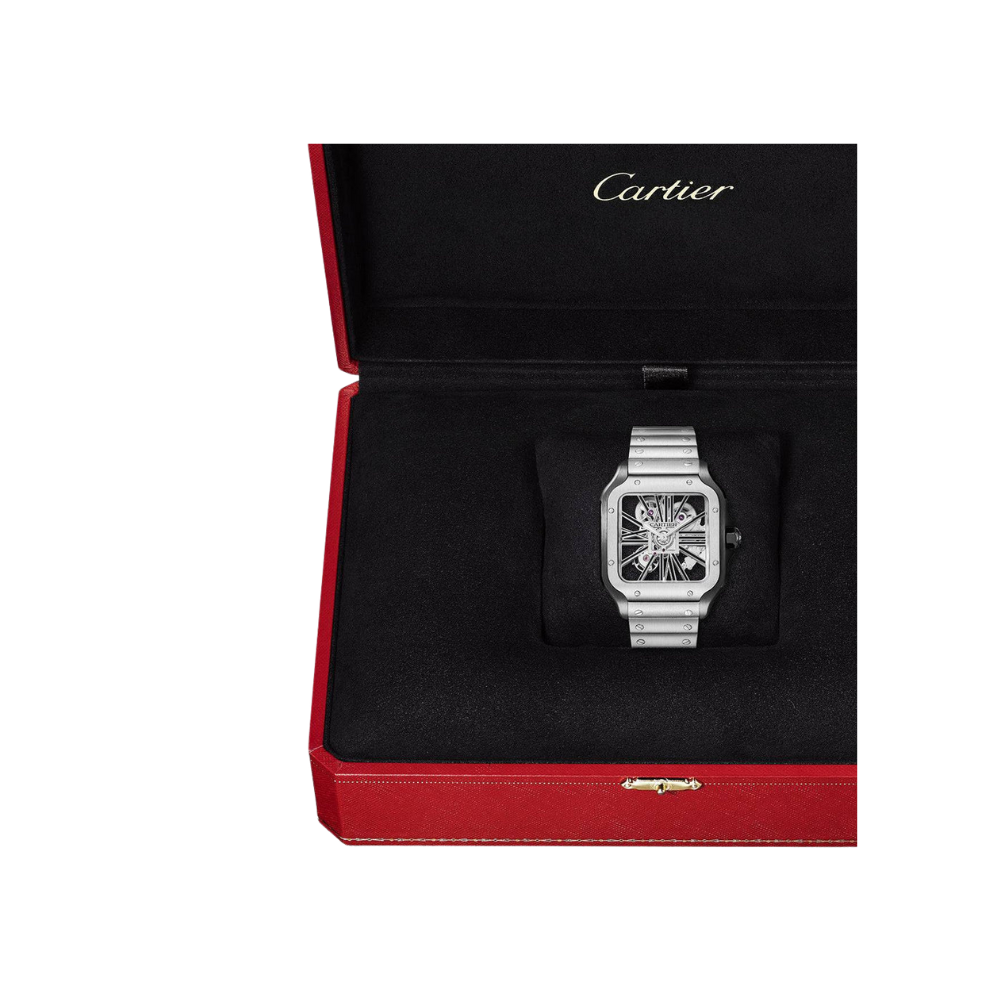 Santos de Cartier Large Skeleton ADLC - Image 7