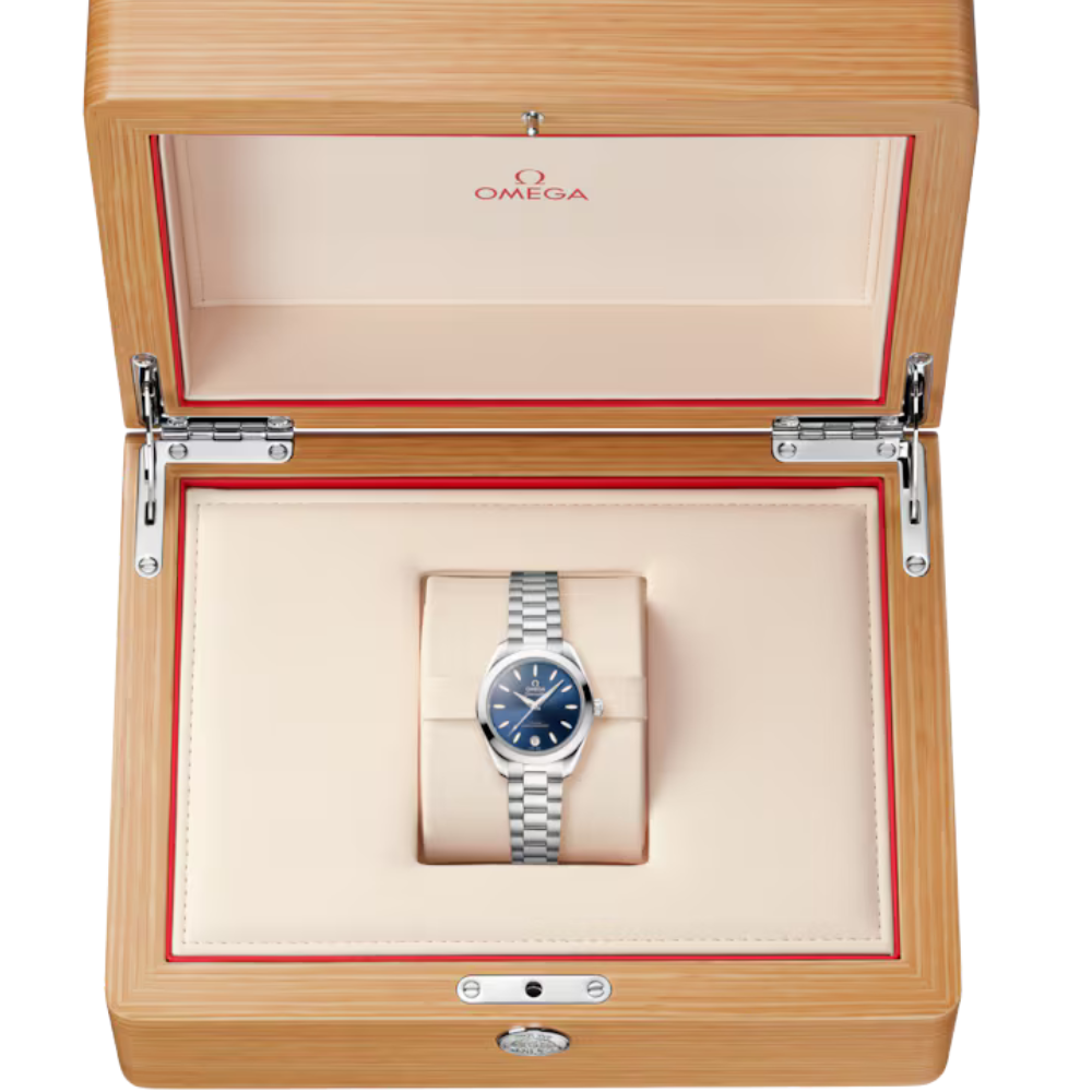 Seamaster Aqua Terra 150M 30 mm, steel on steel Ref. 220.10.30.20.03.001 - Image 9