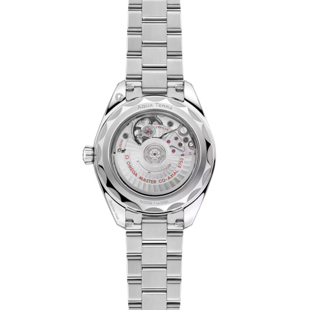 Seamaster Aqua Terra 150M 30 mm, steel on steel Ref. 220.10.30.20.02.001 - Image 6