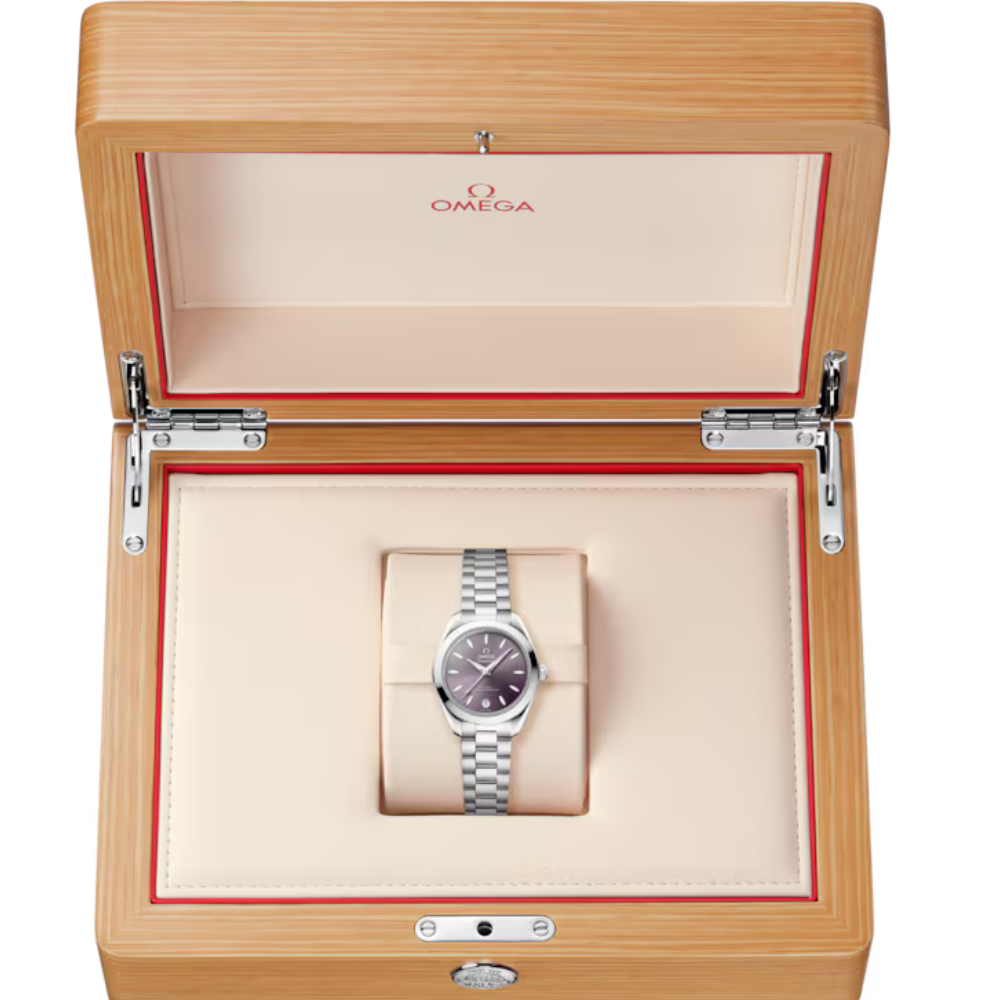 Seamaster Aqua Terra 150M 30 mm, steel on steel Ref. 220.10.30.20.10.002 - Image 8