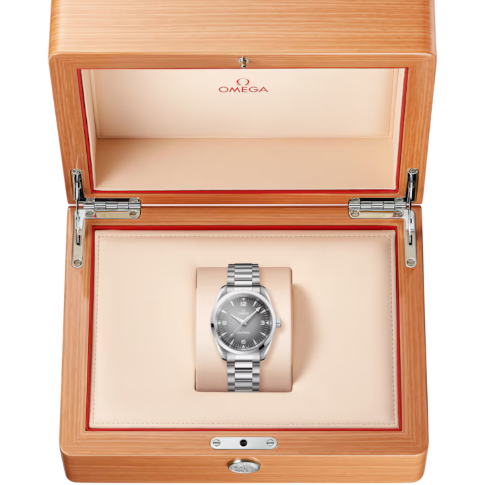 Seamaster Railmaster Ref. 235.10.38.20.06.001 - Image 8